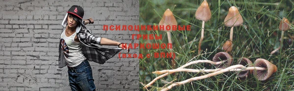 бутират Бородино