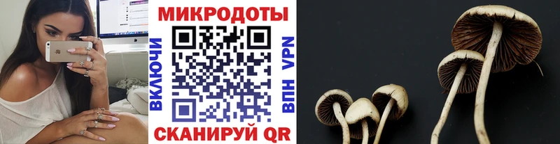 ОМГ ОМГ ССЫЛКА  купить  сайты  Венёв  Галлюциногенные грибы MAGIC MUSHROOMS 